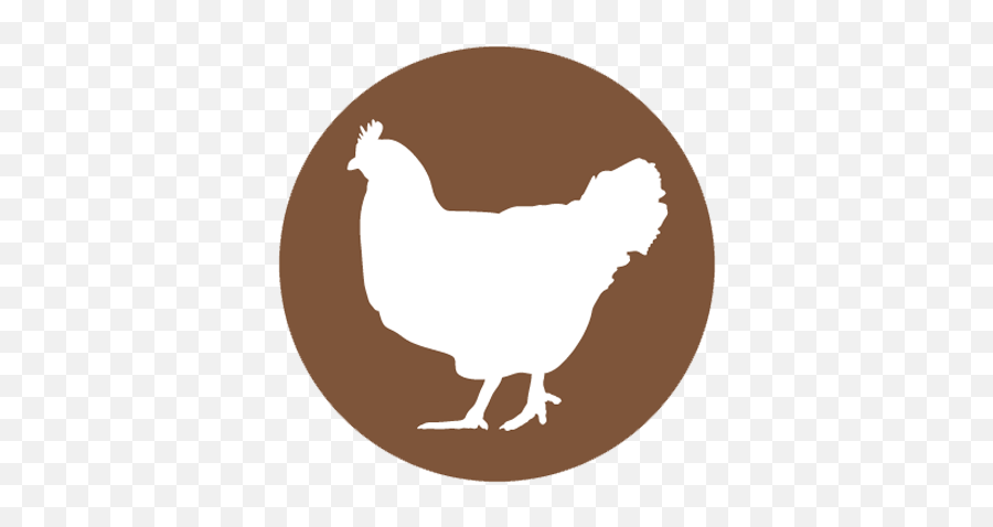 Poultry Experts - Diamond V Party Fowl Nashville Logo Png,Poultry Icon
