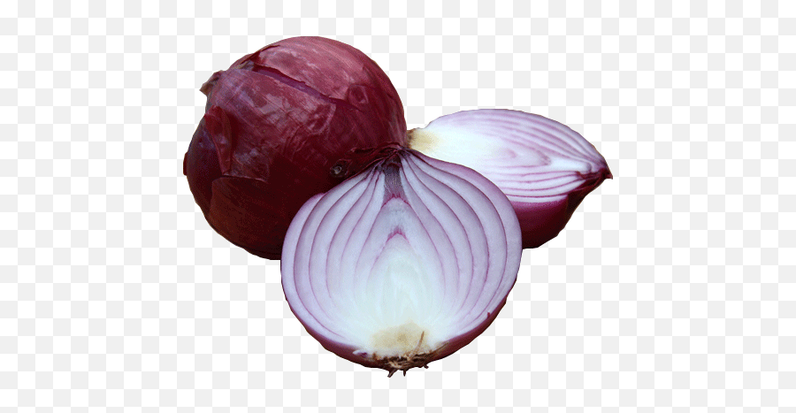 Download Hd Red Onion Png - Organic Food Red Onion,Onion Png