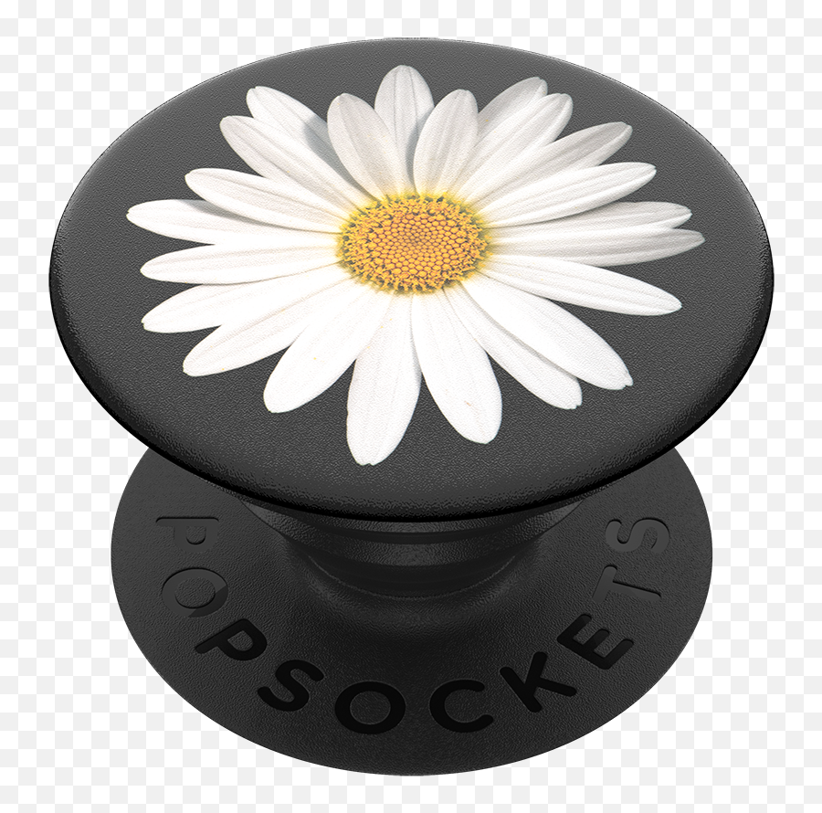 White Daisy - Popsockets Flower Png,Transparent Daisy