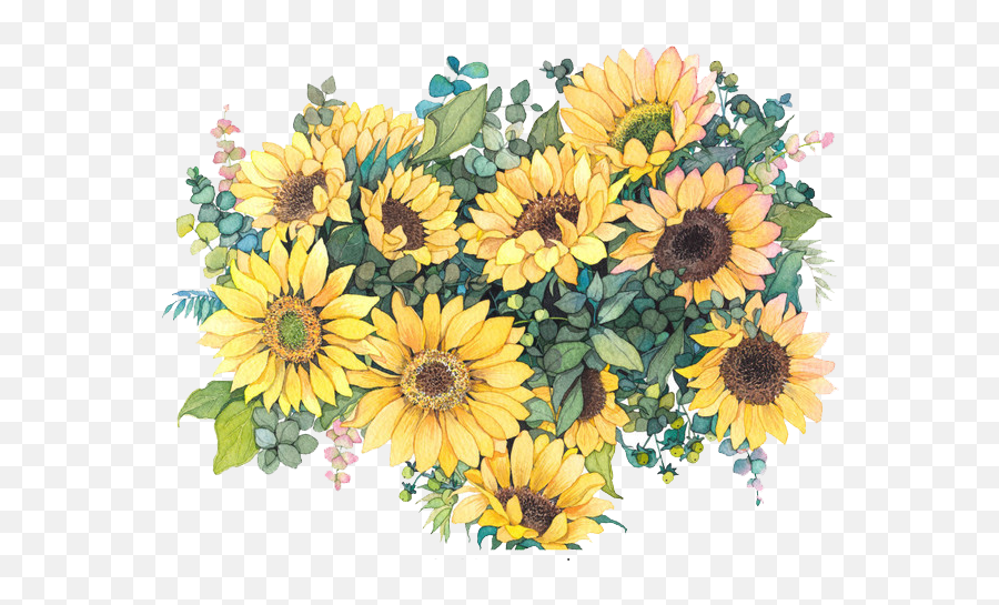 Watercolor Common Flowers Painting - Sunflower Water Color Png,Watercolor Sunflower Png