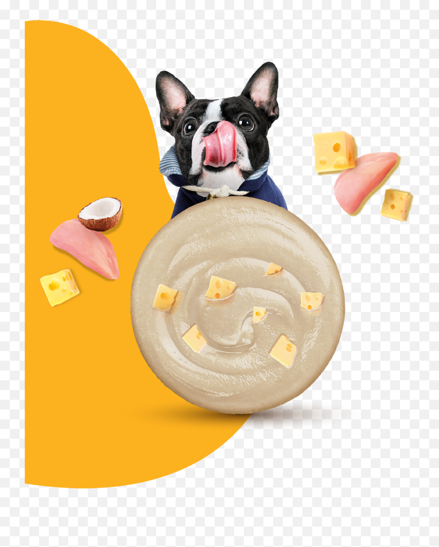 Moochie Png Icon Tidningen