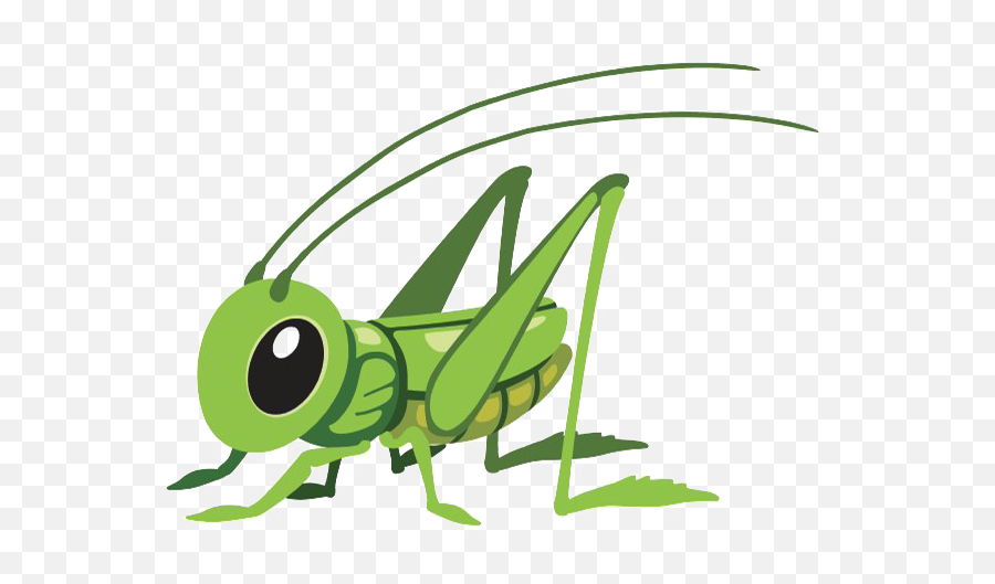 Grasshopper Png Transparent Background - Grasshopper Cartoon Png,Grasshopper Png