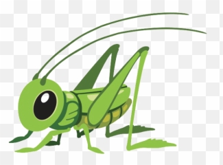 Grasshopper Png Transparent Background - Grasshopper Cartoon Png,Grasshopper Png