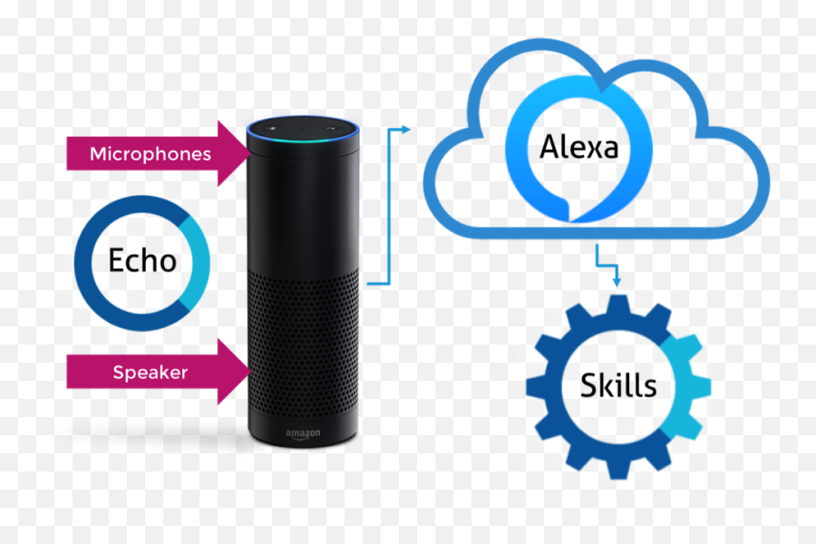 What Is Alexa - Alexa Skills Png,Amazon Alexa Logo Png