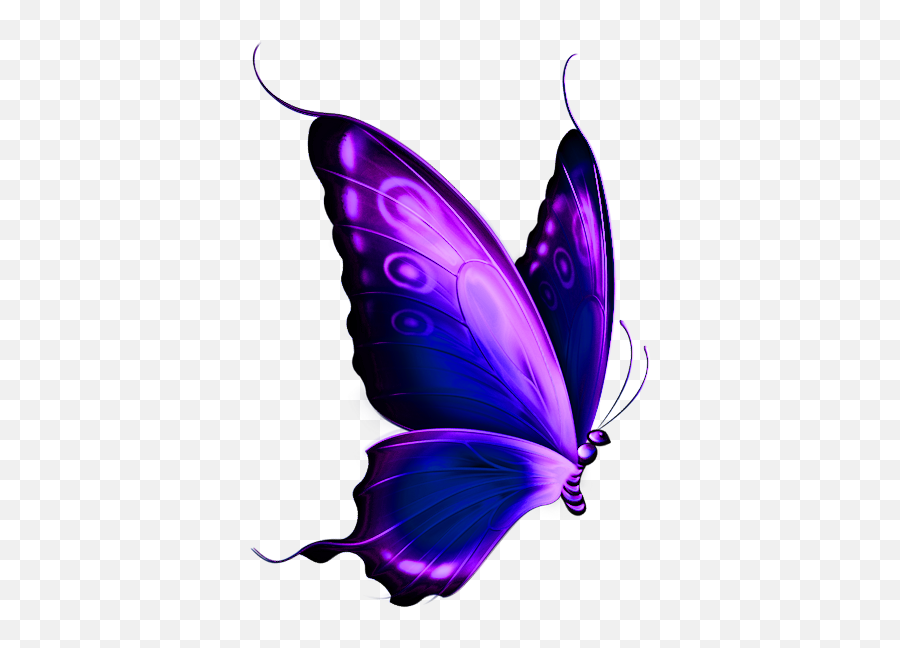 Purple Butterflies Png 2 Image - Transparent Background Butterfly Png,Purple Butterfly Png