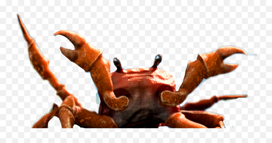 Crab Rave - Sticker By Trampoline Beam Crab Rave Crab Transparent Png,Crab Transparent Background