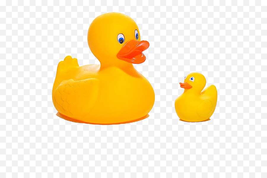 Rubber Ducks - Rubber Duck Png,Rubber Duck Png