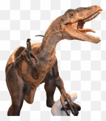 Download Raptor Png Vector - Velociraptor Png Image Raptor Png Transparent,Velociraptor Png