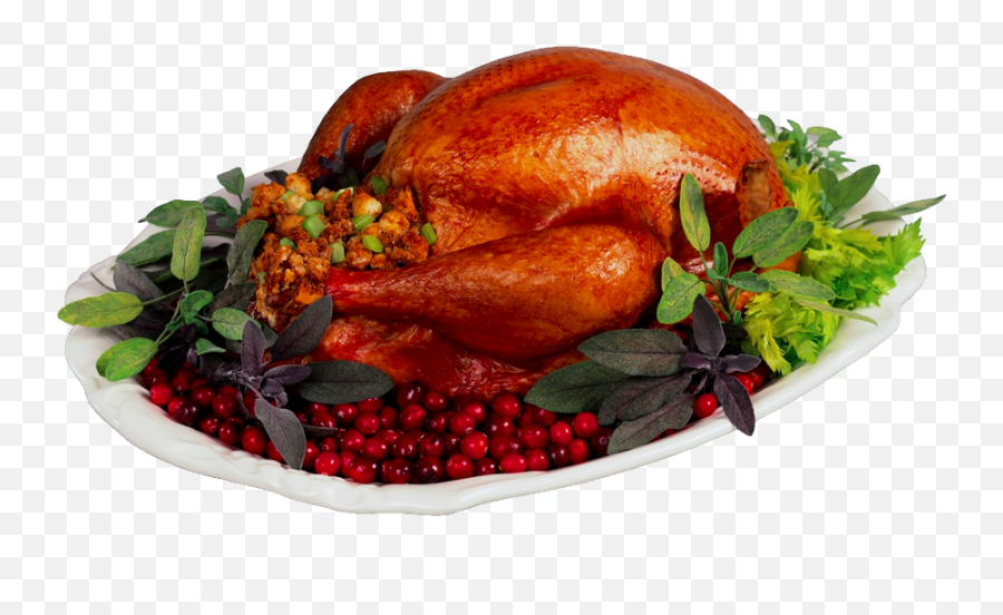 Turkey Cooked - Turkey,Cooked Turkey Png