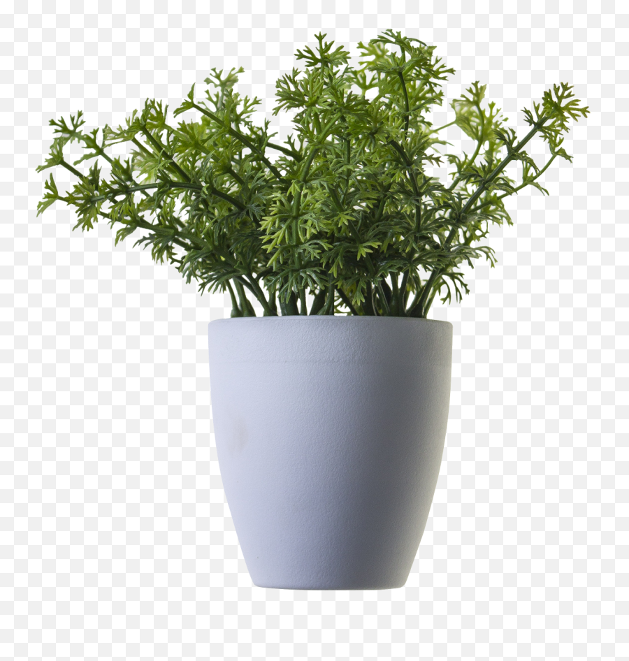 Download Plant Png Image For Free - Plant In Pot Png,Plant Transparent Background