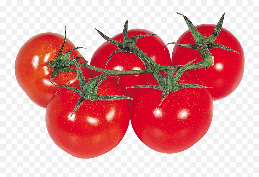 Tomatoes Clipart Clear Background Png Tomato