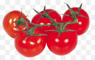 Tomatoes Clipart Clear Background Png Tomato