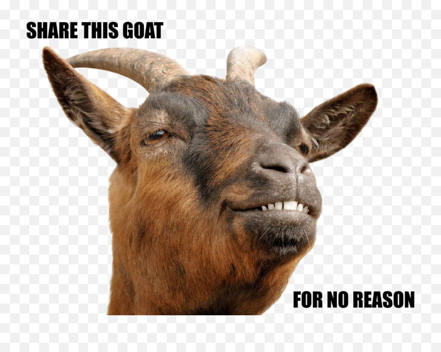 Goat Png Download Image Arts - Goat Head Png,Goat Png