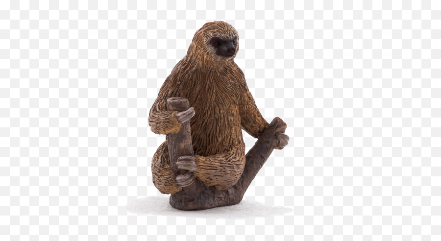 Download Hd Two Toed Sloth - Animal Planet Two Toed Sloth Collecta Sloth Png,Sloth Transparent