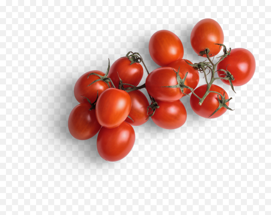 Cherry Graphic Asset - Plum Tomato Png,Tomato Transparent
