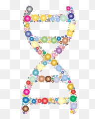 Molecular Biology Png Transparent - Molecular Cell Biology Clipart,Biology Png