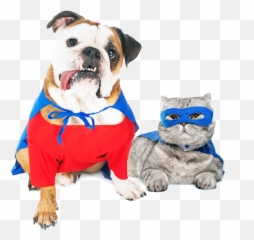 Petplan U2013 Plan The Easy Way Png Pets