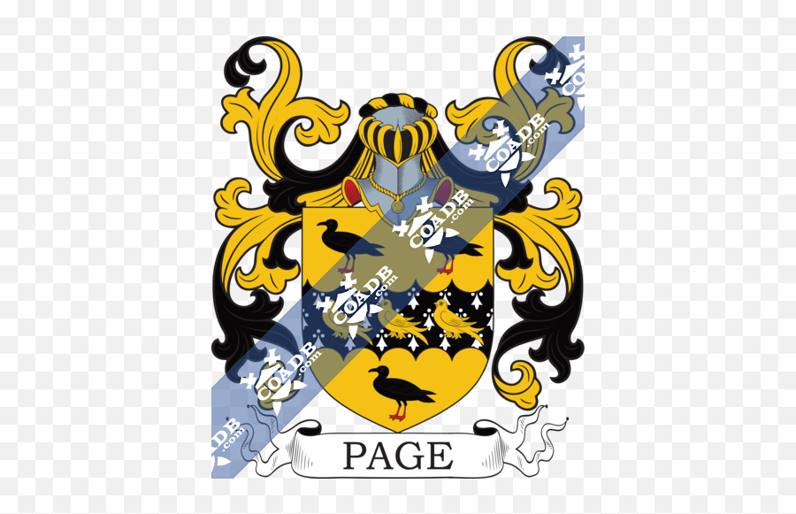 Padilla Family Crest Coat Of Arms And Name History - Dixon Coat Of Arms Png,Arms Transparent