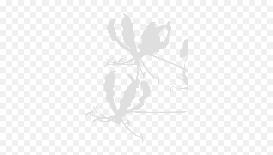 The Best Select Of Japanese Seasonal Flowers And Cultivated - Automotive Decal Png,Japanese Flower Png