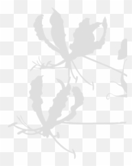 The Best Select Of Japanese Seasonal Flowers And Cultivated - Automotive Decal png