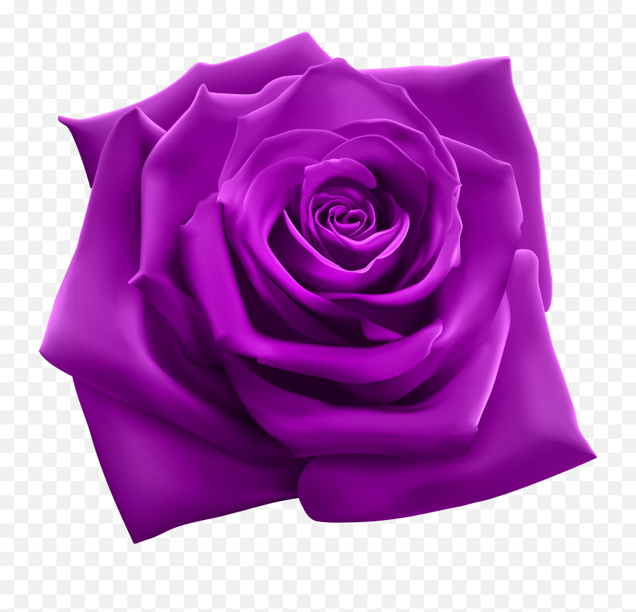 Pink Rose Png Purple Roses - Purple Rose Clipart,Lilac Png