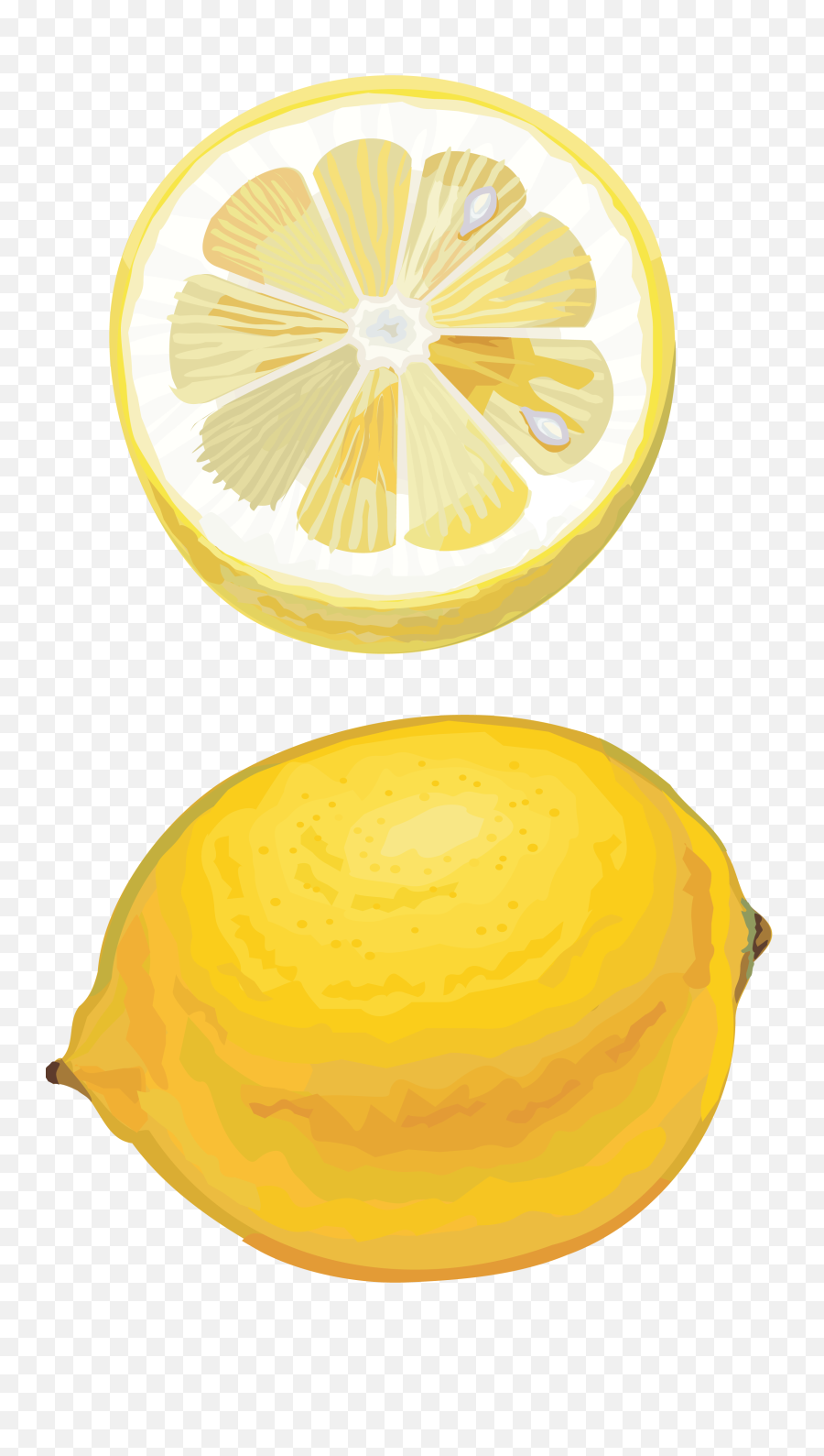 Lemon Drawing Png Photo Logo Design - Lemon Drawing,Lemon Transparent Background
