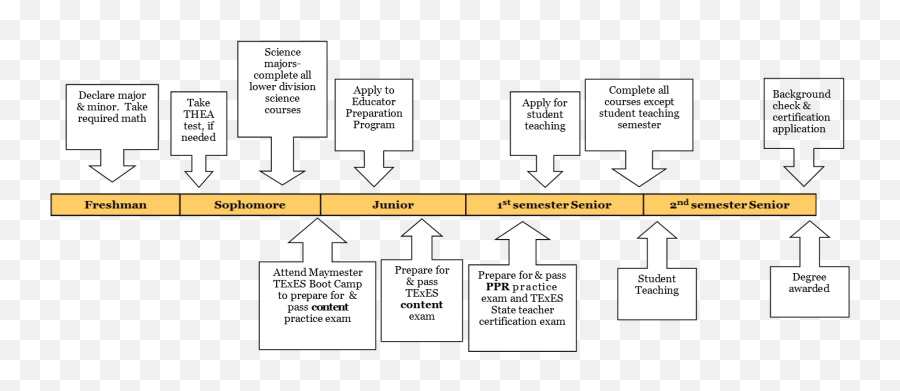 Timeline - Vertical Png,Timeline Transparent