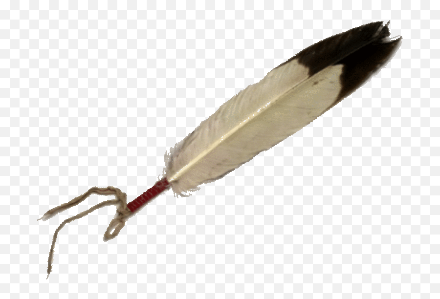 Free Indian Feathers Cliparts Download - Eagle Feather Png,Indian Feather Png