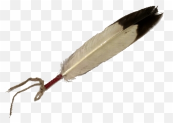 Free Indian Feathers Cliparts Download - Eagle png