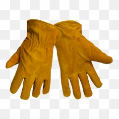 Download Free Png Boxing Glove Images - Free Png Library Raw Gloves,Boxing Glove Png