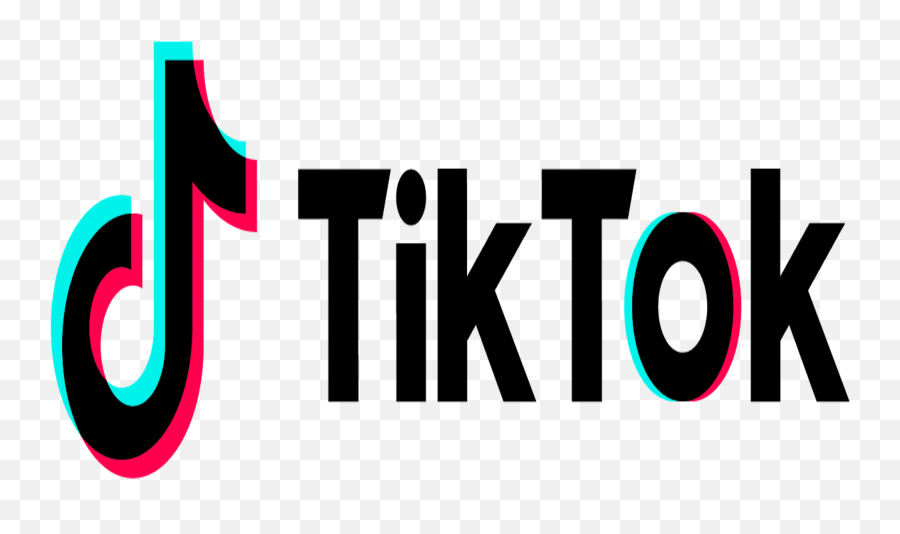 Everything - Tik Tok Png,Tiktok App Icon