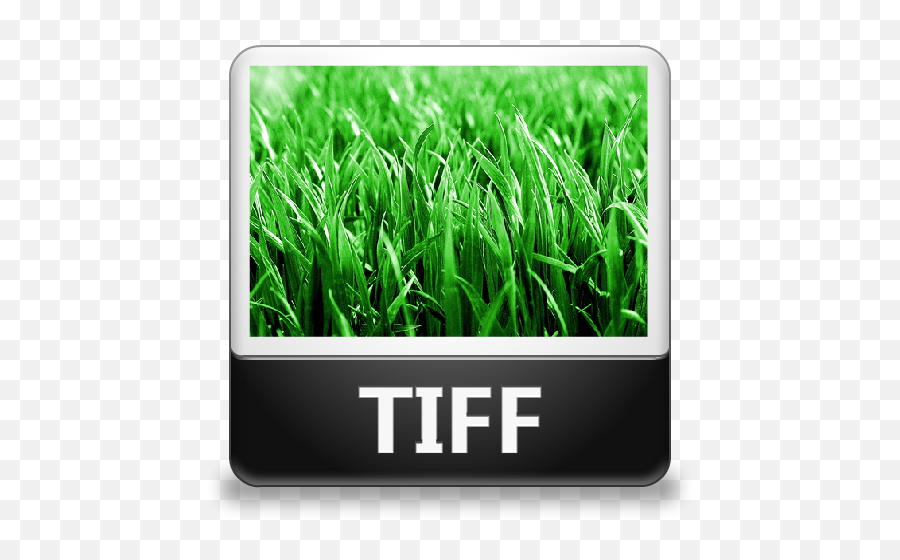 Tiff размер. TIFF Формат. TIFF изображение. Файл tif. Картинки в формате TIFF.