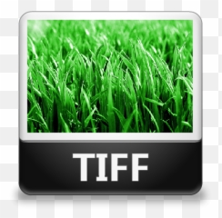 Tiff File Icon - Lozengue Filetype Icons Softiconscom Ecosystem Producer Png,Open File Icon