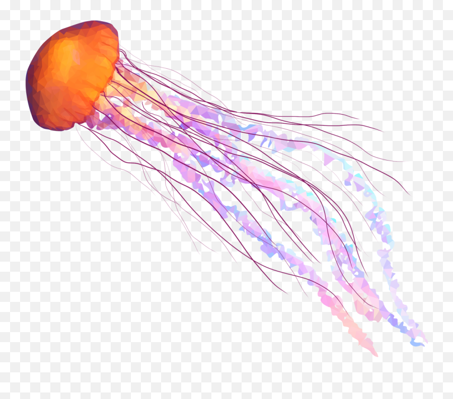 Transparent Jellyfish Png 2 Image - Real Jellyfish Transparent Background,Transparent Jellyfish