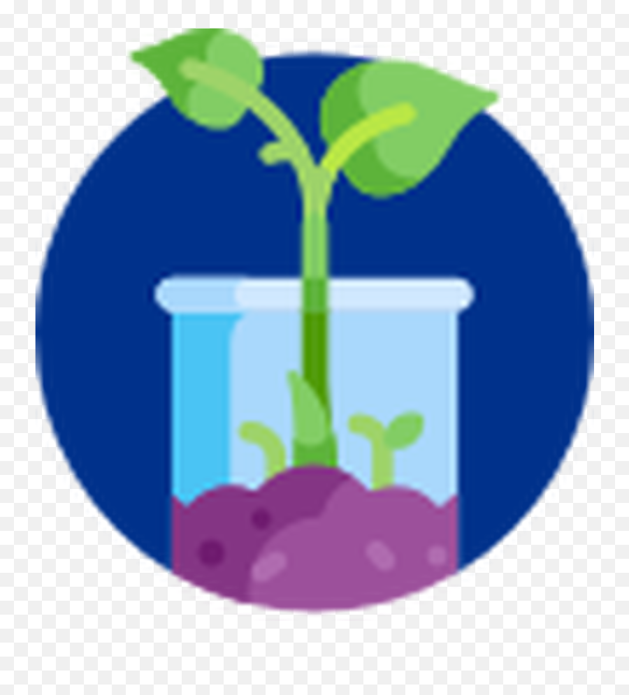Shop Products - Plant Biology Page 1 Tokue Vertical Png,Greenery Icon