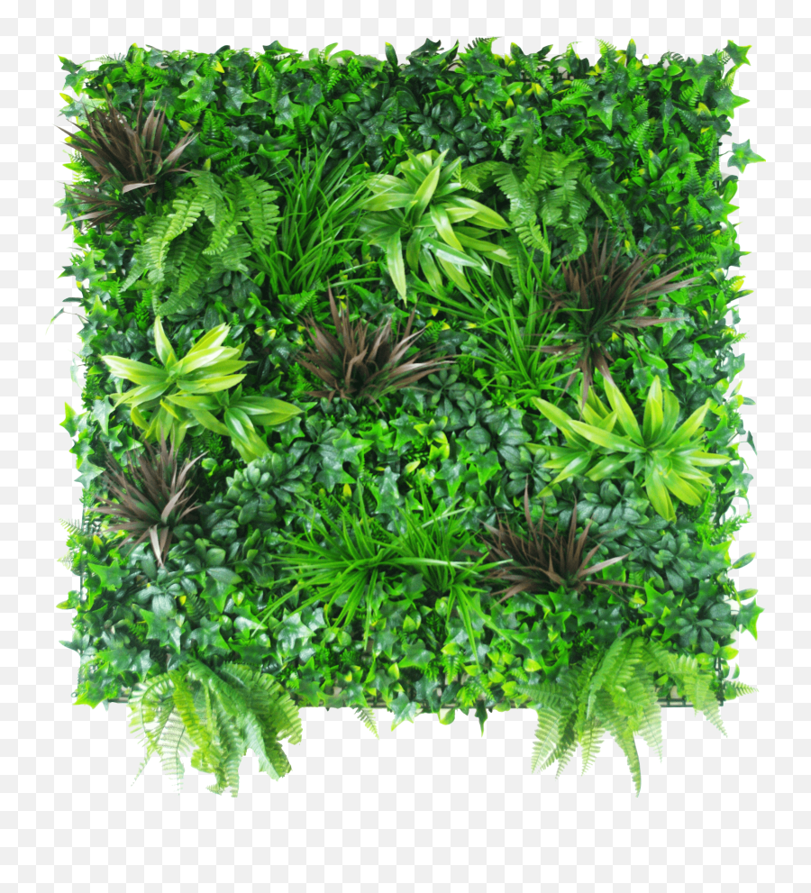 Coastal Greenery Vertical Garden - Green Wall Plants Png,Greenery Png