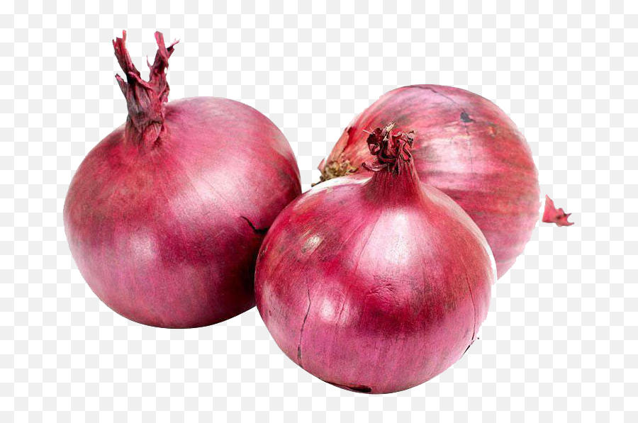 Onion Png Photo