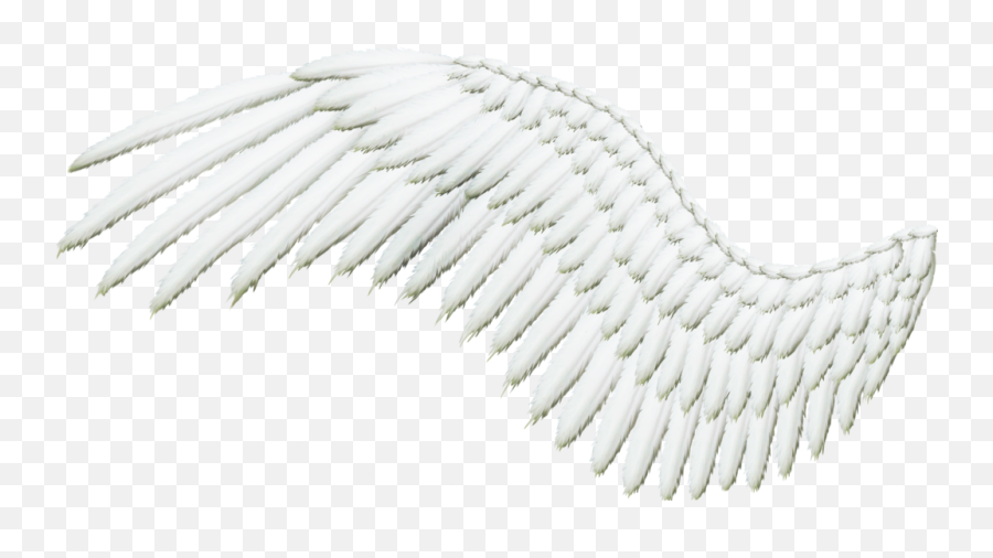 Download Feathered Wing - Angel Wing With Transparent Angels Wing Silver Png,Wings Transparent Background