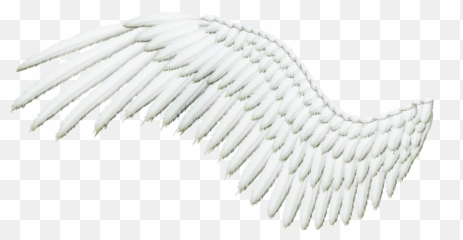 Download Feathered Wing - Angel With Transparent Angels Silver Png