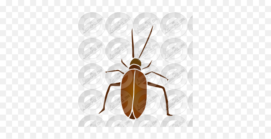 Roach Stencil For Classroom Therapy Use - Great Roach Clipart Weevil Png,Roach Png