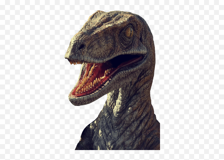 Zurb Raptorize Drupalorg - Velociraptor Jurassic Park Png,Velociraptor Png