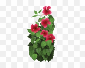 Tropical Flower Png Free Download - Photo 511 Pngfilenet Tropical Rainforest Plant Clip Art,Hawaiian Flower Png