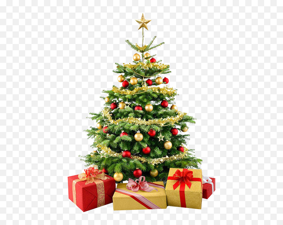 Christmas Tree Transparent Background Png Image - Christmas Tree Png Hd,Christmas Backgrounds Png