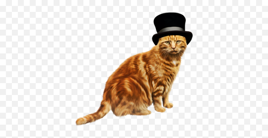Orange Cat With A Hat Transparent PNG