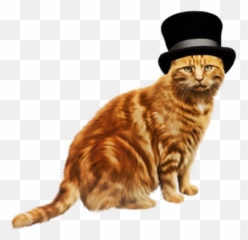 Orange Cat With A Hat Transparent PNG