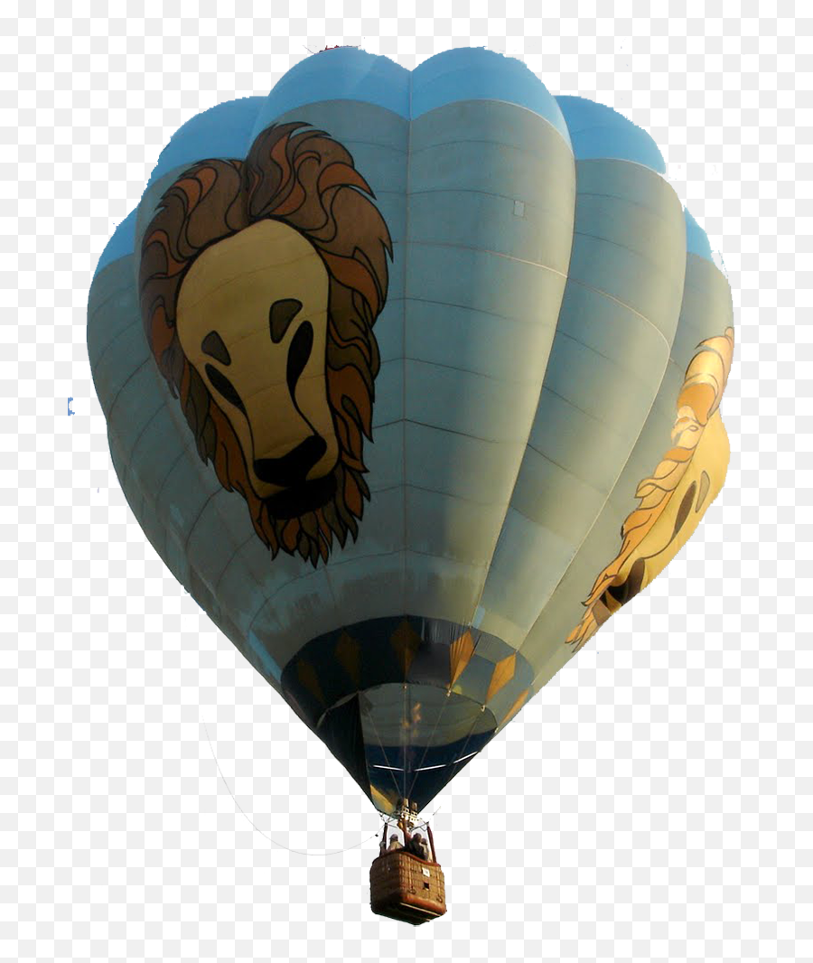 Download Hd Bobs Cat 1000 - Hot Air Balloon Transparent Png Hot Air Balloon,Hot Air Balloon Png