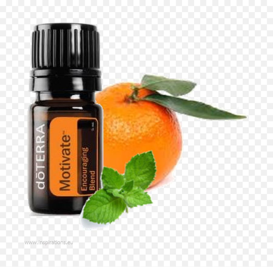 Ermutigende Mischung 3206 Major Erika - Cinnamon Bark 5 Ml Doterra Png,Doterra Png