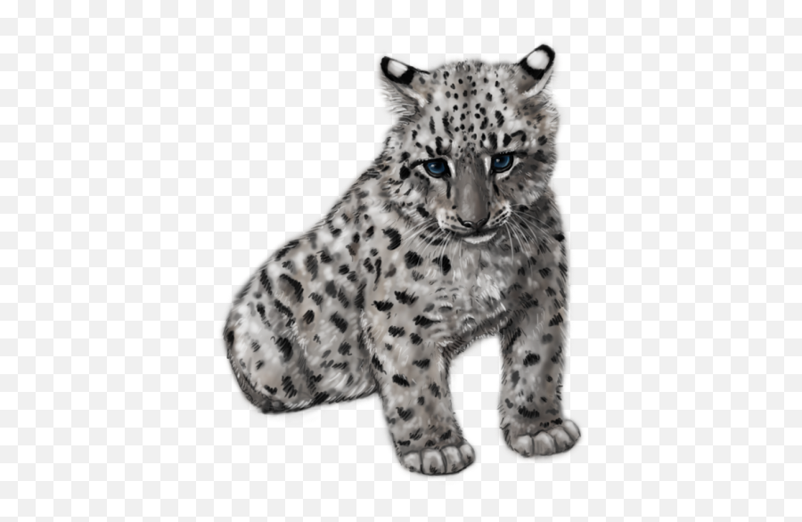 Png Cute Snow Leopard - Baby Snow Leopard Transparent,Snow Leopard Png