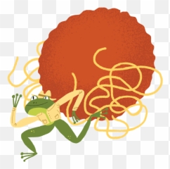 Mary Kate Mcdevitt Lettering And Illustration - Illustration Png,Frog Png