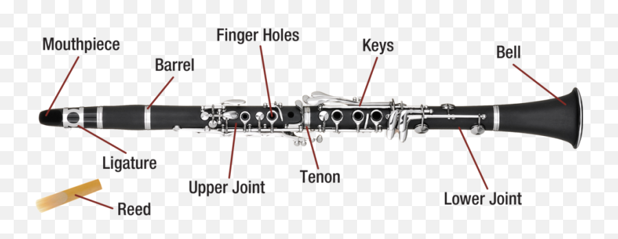 Clarinet Presto Instruments - Labelled Diagram Of A Clarinet Png,Clarinet Png